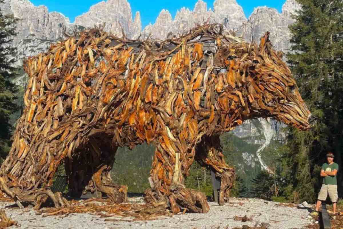 Orso Trentino