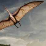 Pterosauro