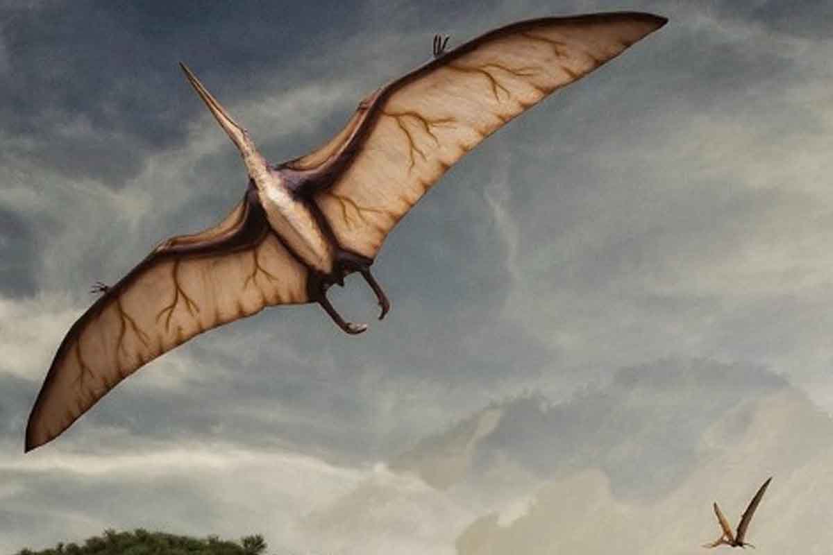 Pterosauro