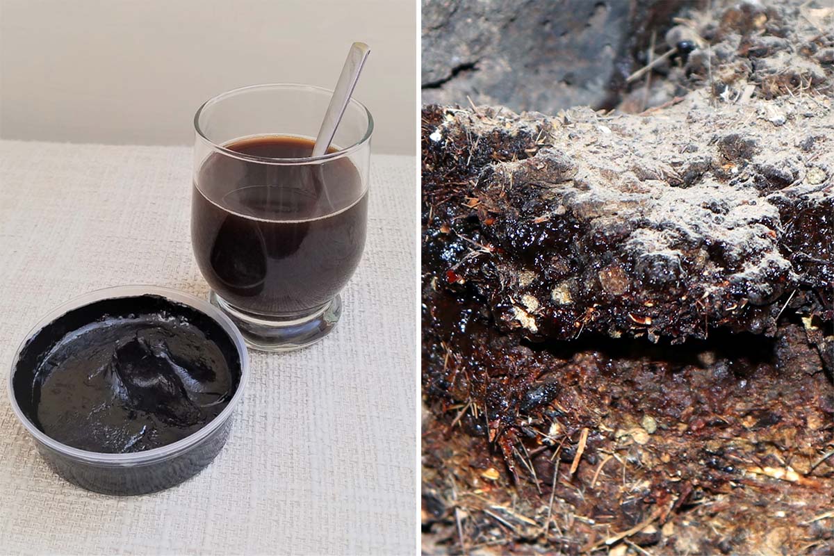 Shilajit