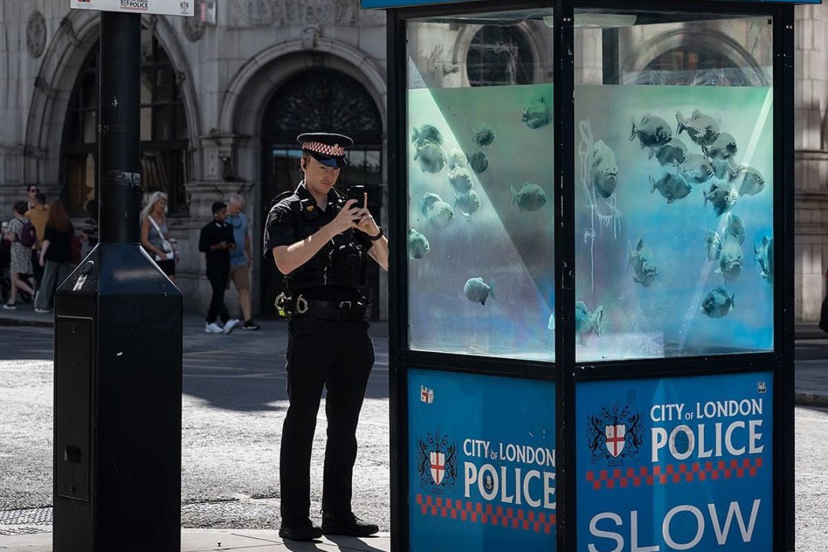 acquario Banksy Londra