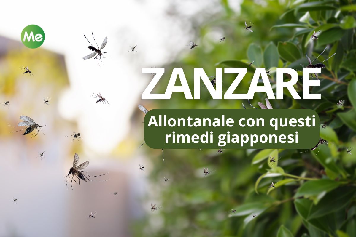 allontanare le zanzare