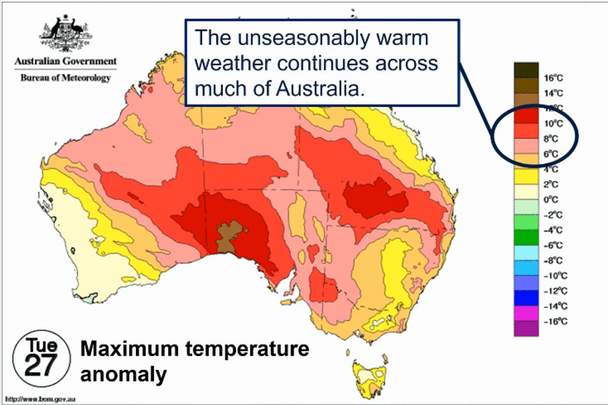 caldo australia