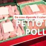 colore del petto di pollo