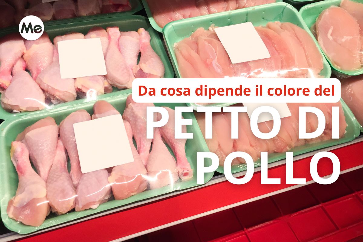 colore del petto di pollo