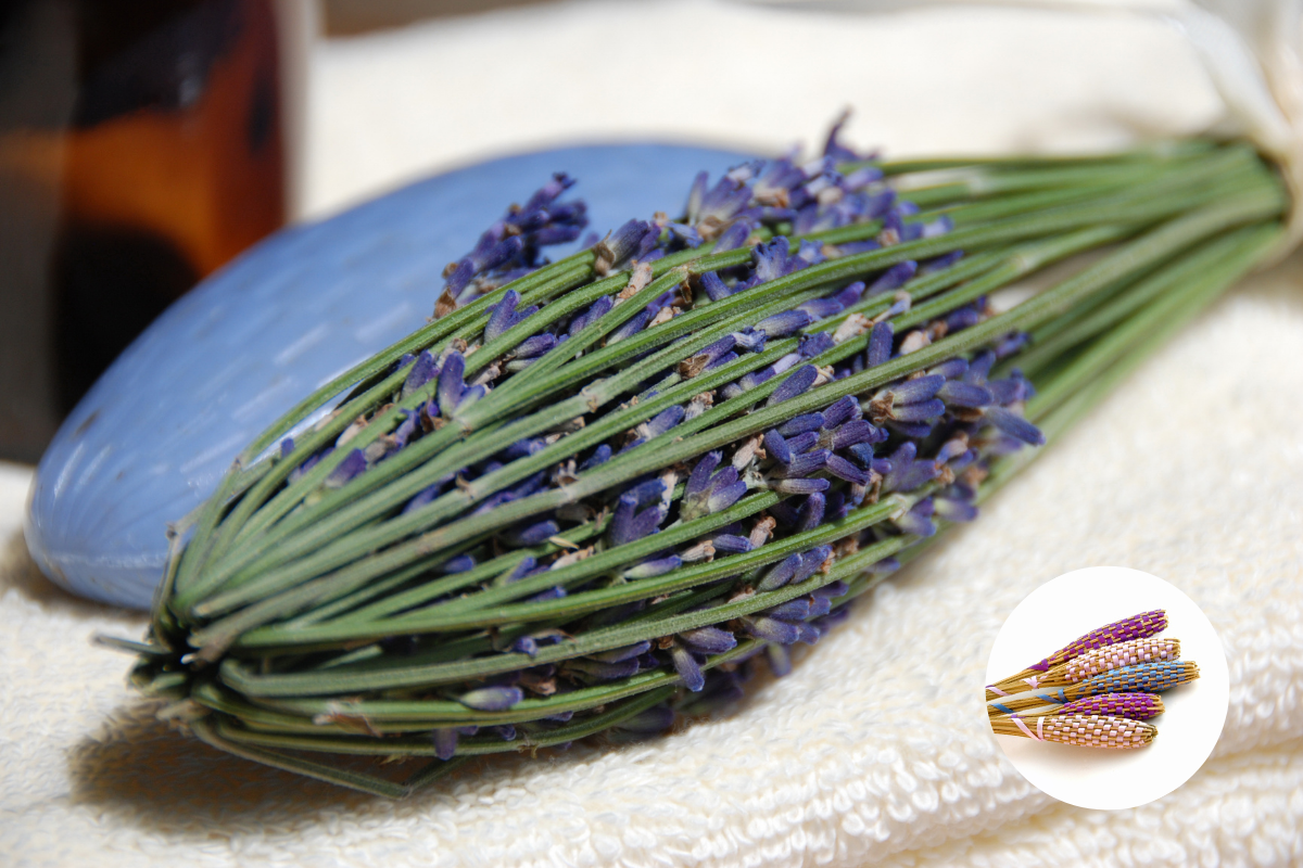 fusi di lavanda