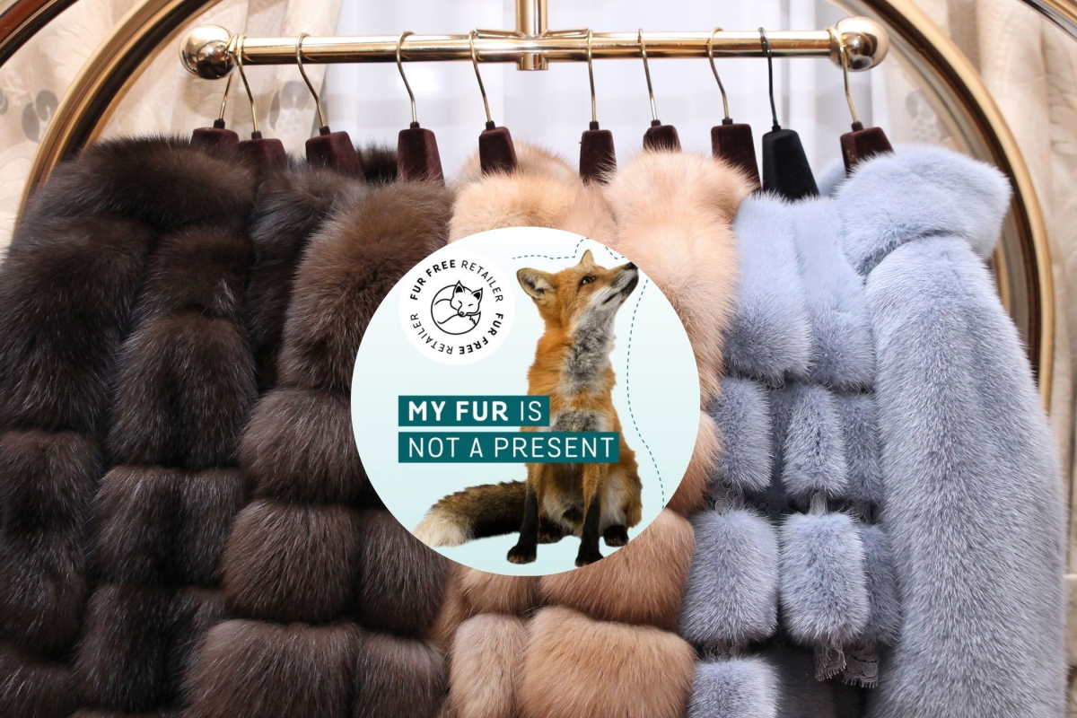 max mara fur free