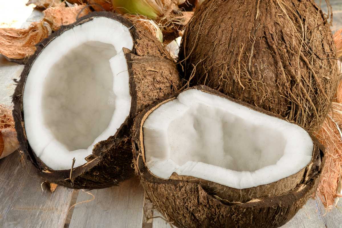 noci di cocco