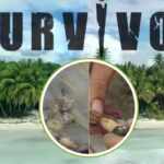 survivor