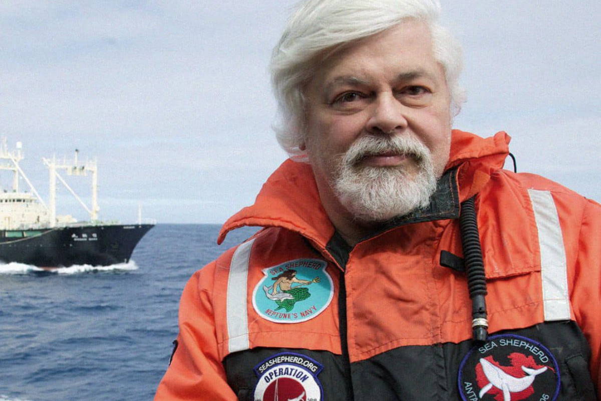 paul watson