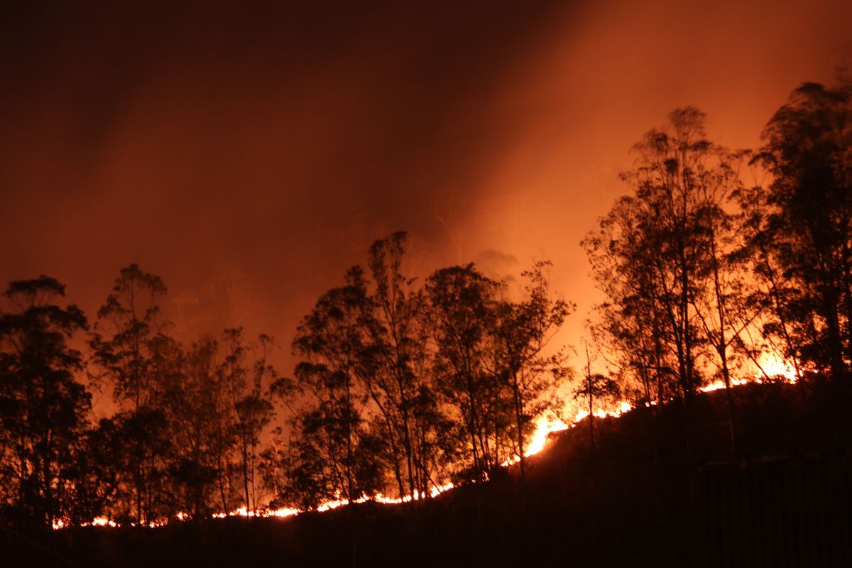 Incendi_Sud_America