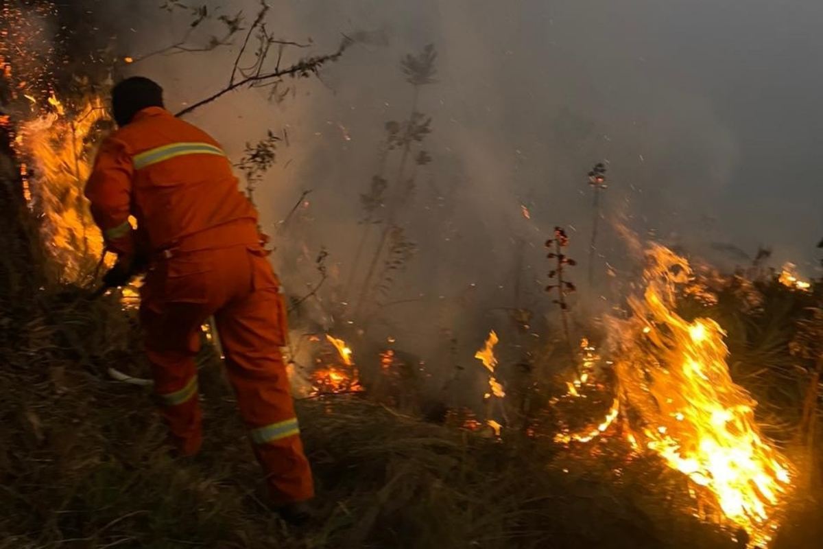 Perù incendi