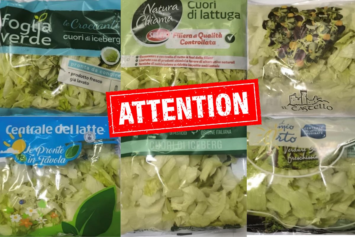 allerta alimentare insalate in busta