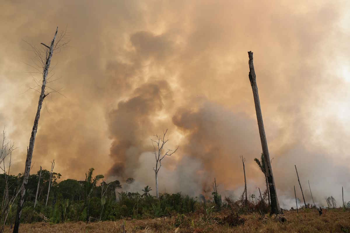 incendi amazzonia