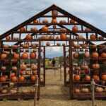 fattoria della zucca roma