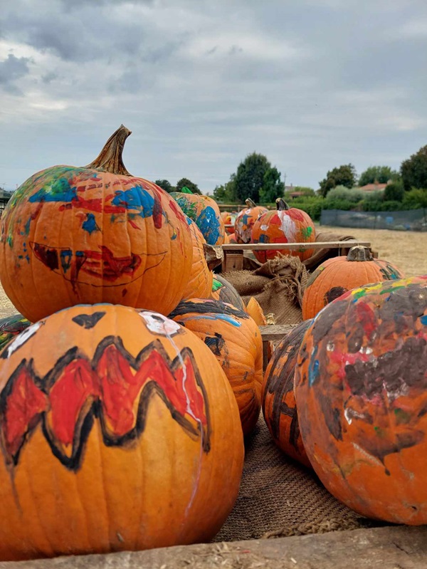 fattoria zucca 3