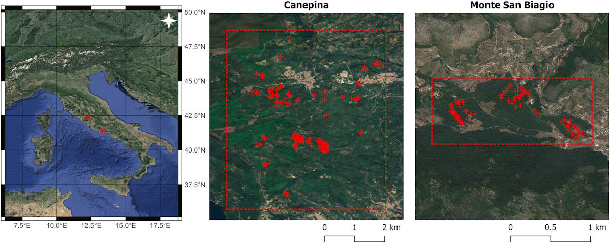 malattia inchiostro foreste telerilevamento satelliti