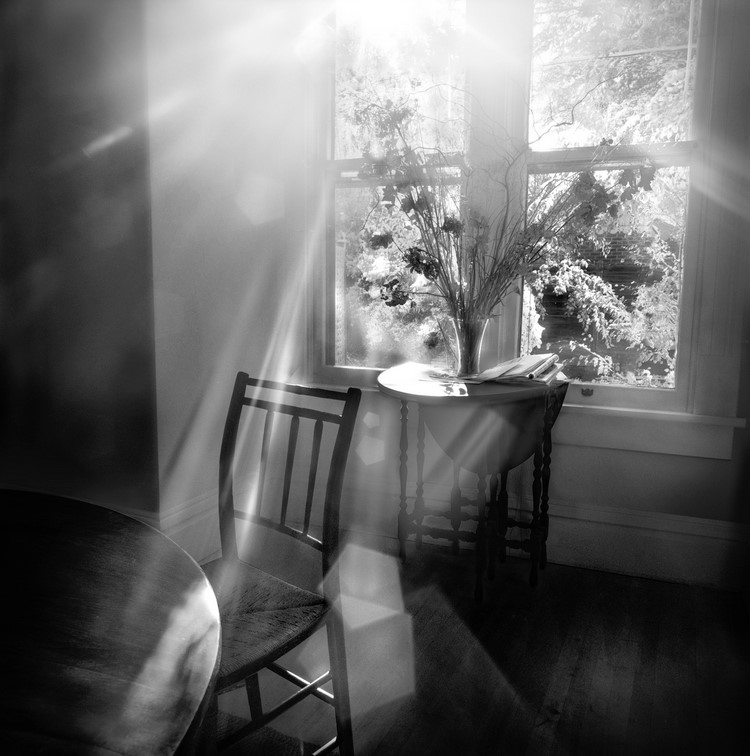 morning light