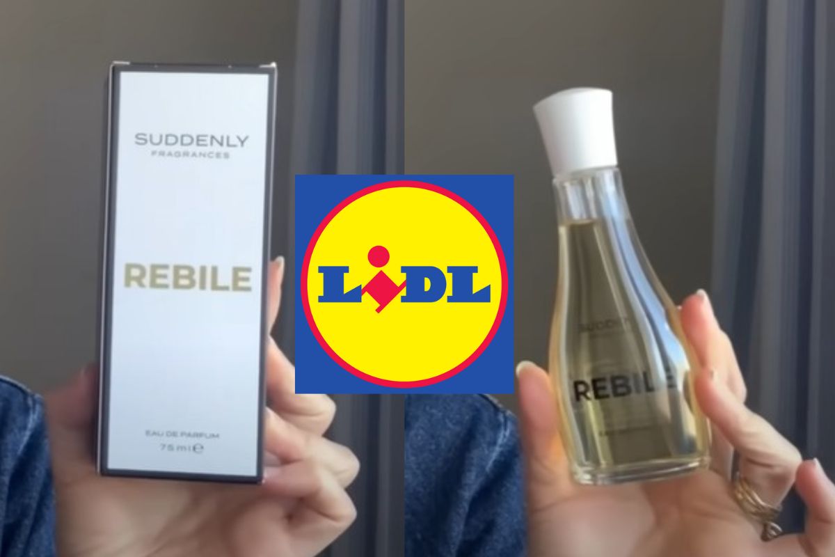 rebile lidl profumi equivalenti