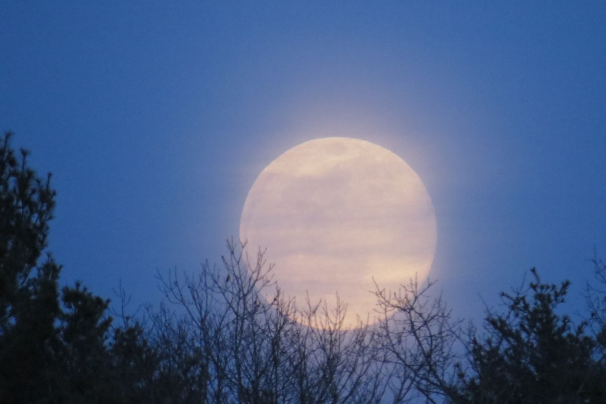 superluna del cacciatore ottobre 2024