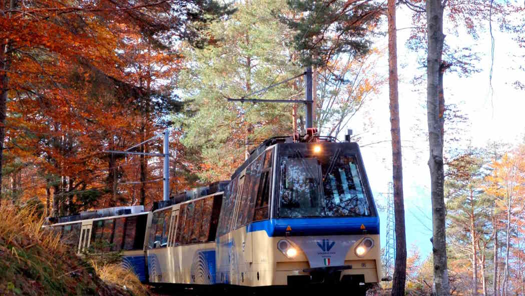 treno foliage