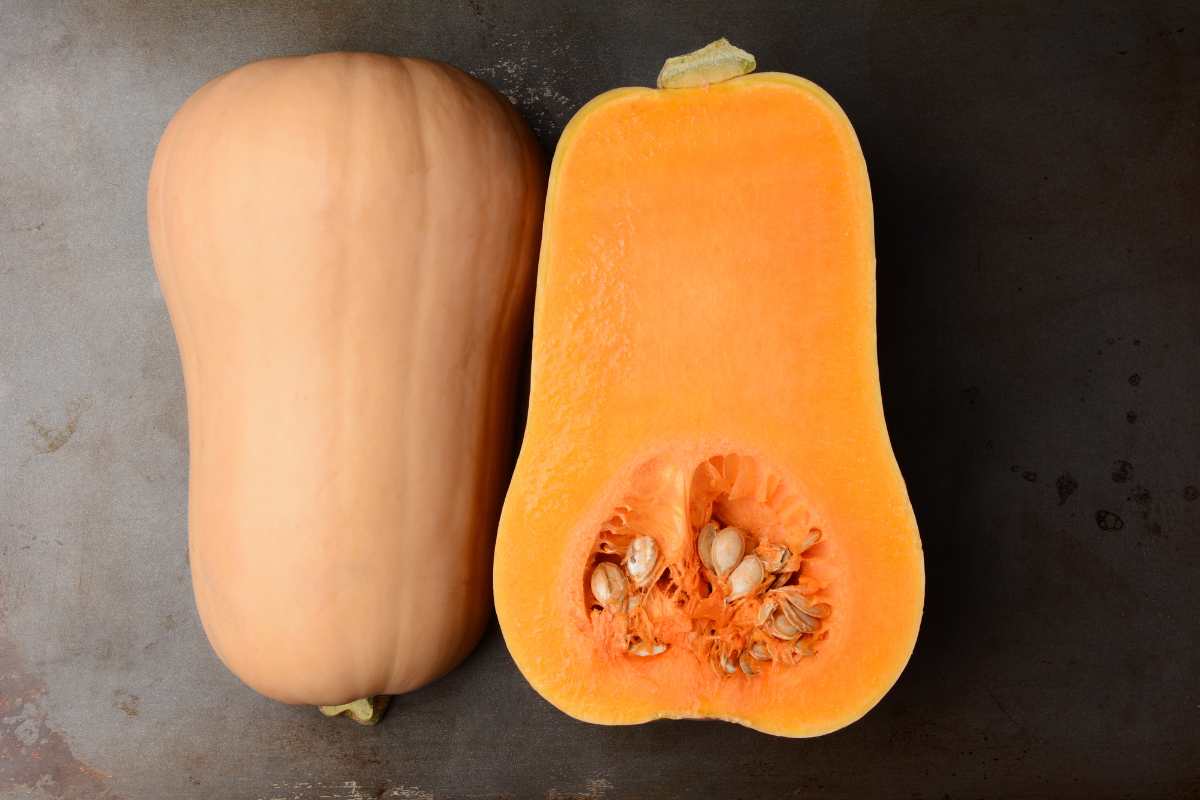 zucca violina