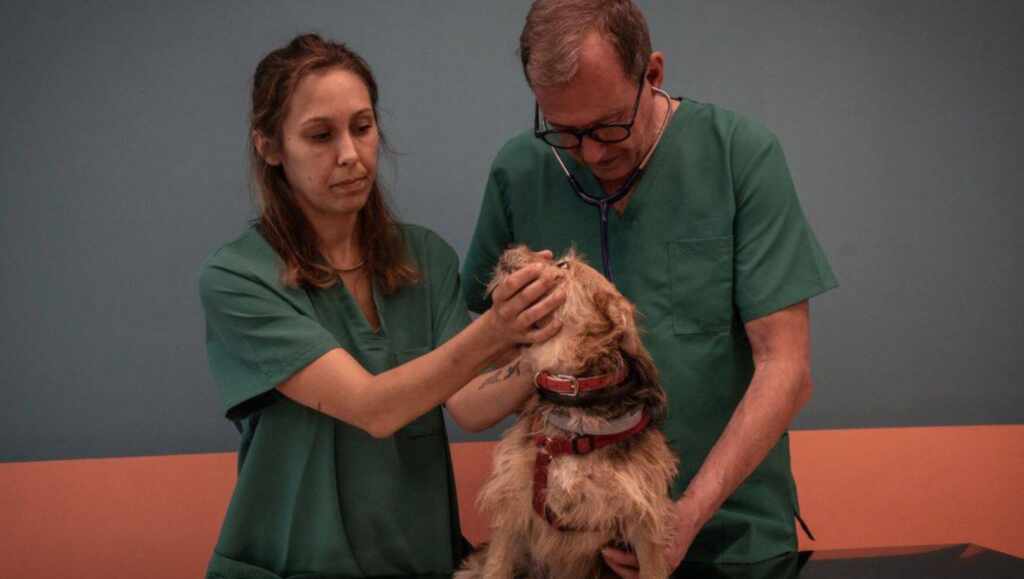 Ambulatorio veterinario sociale Roma 2