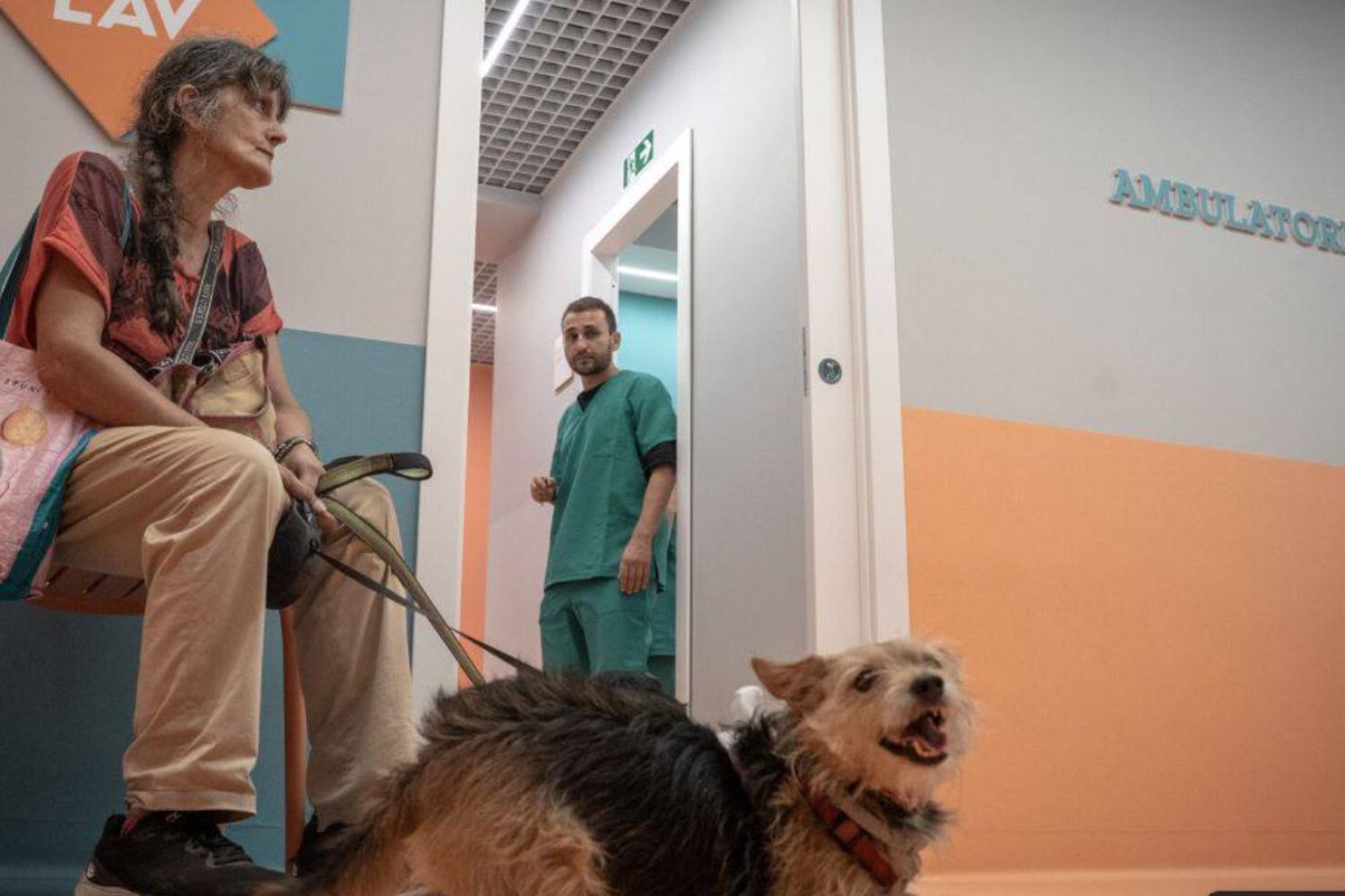 Ambulatorio veterinario sociale Roma 3