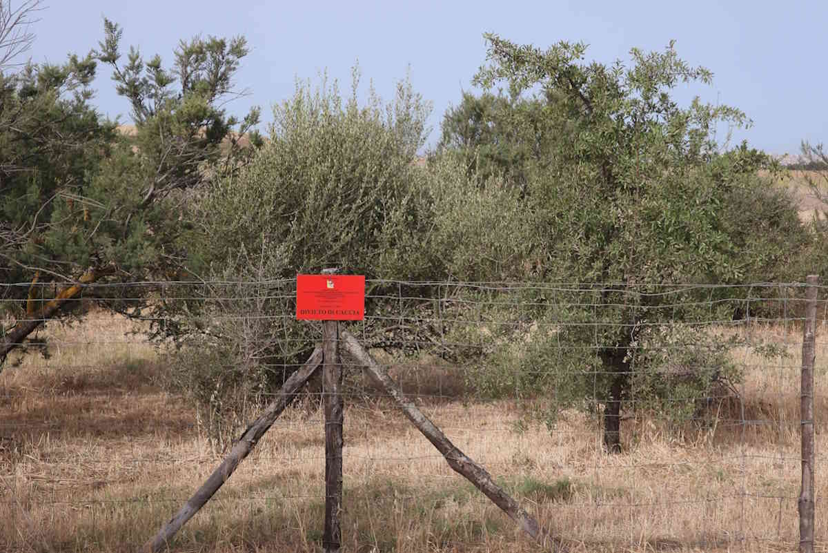 Geloi riserva no caccia