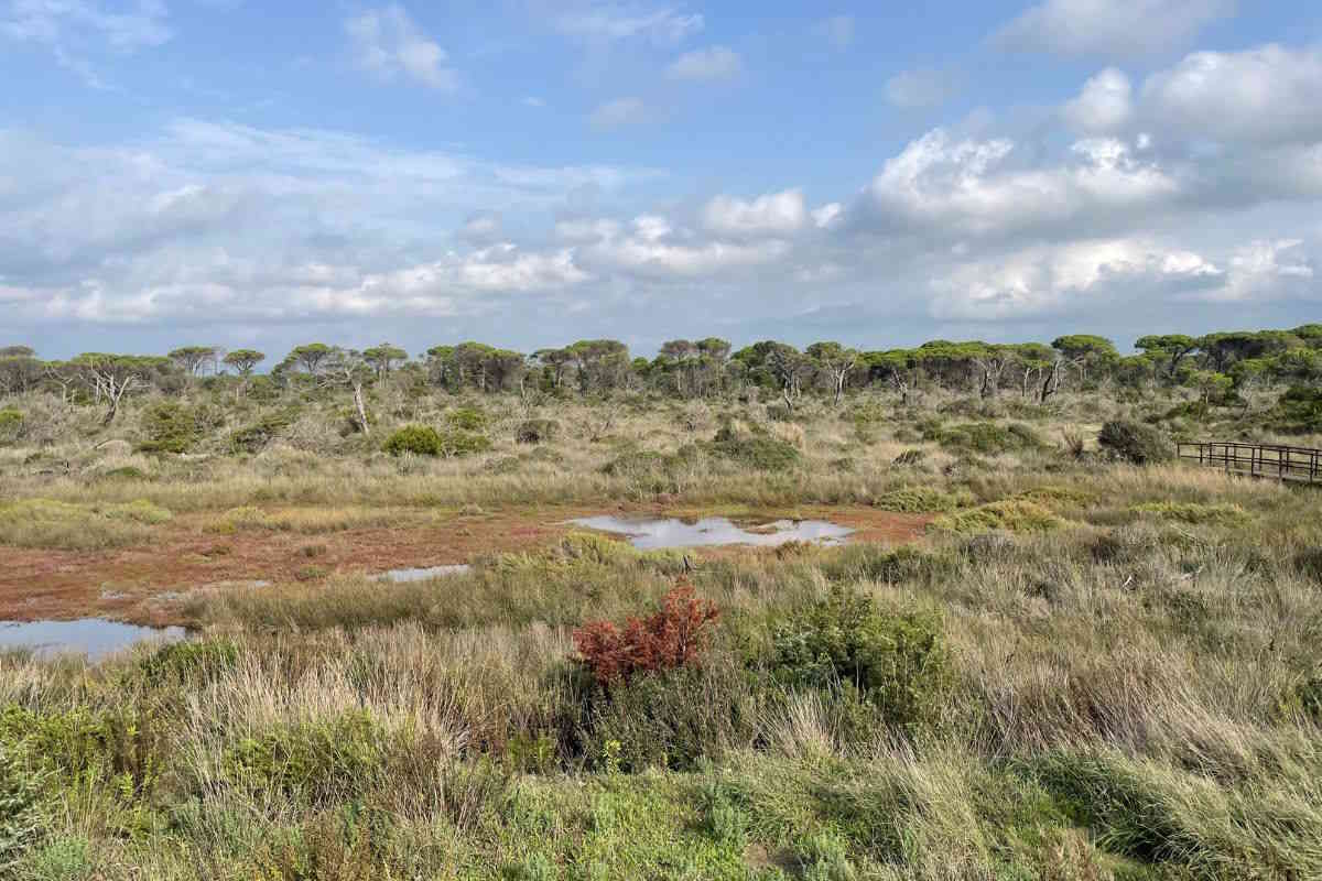 Parco della Maremma