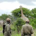 South Lakes Safari Zoo