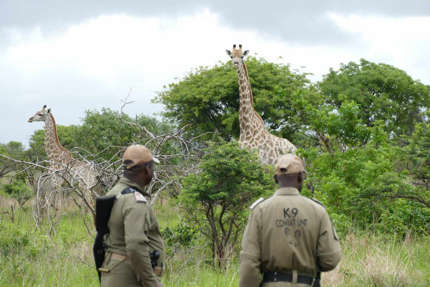 South Lakes Safari Zoo