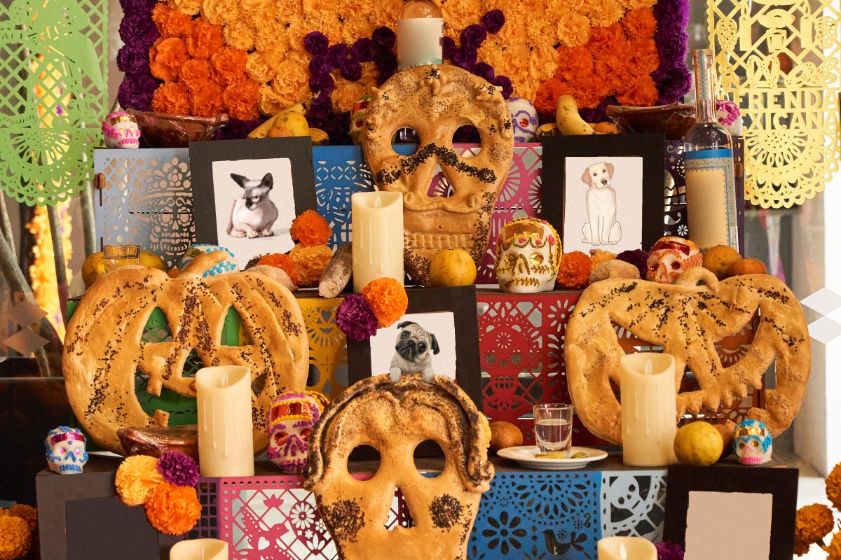 dia de los muertos animali