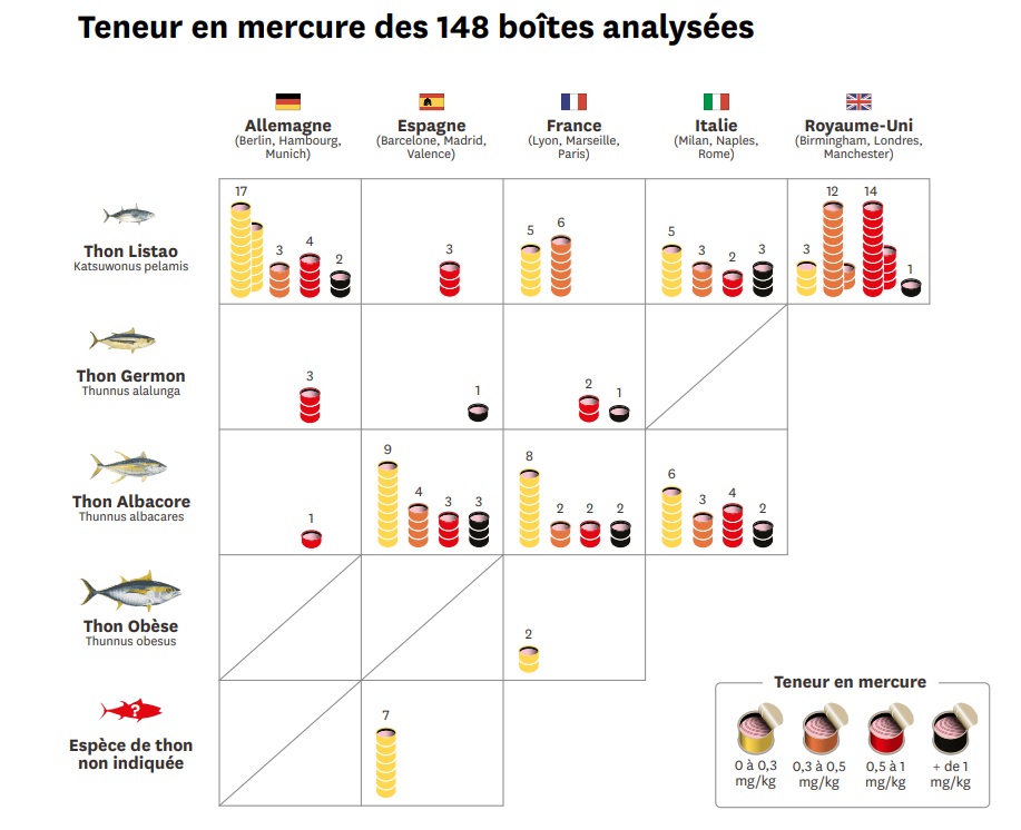 infografica indagine tonno mercurio