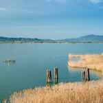 lago trasimeno