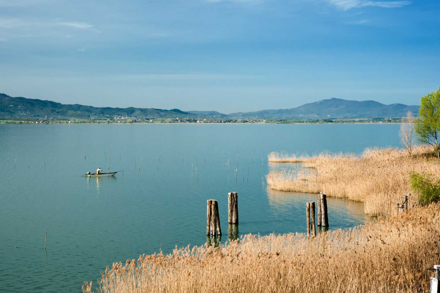 lago trasimeno