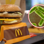 mc donalds e. coli