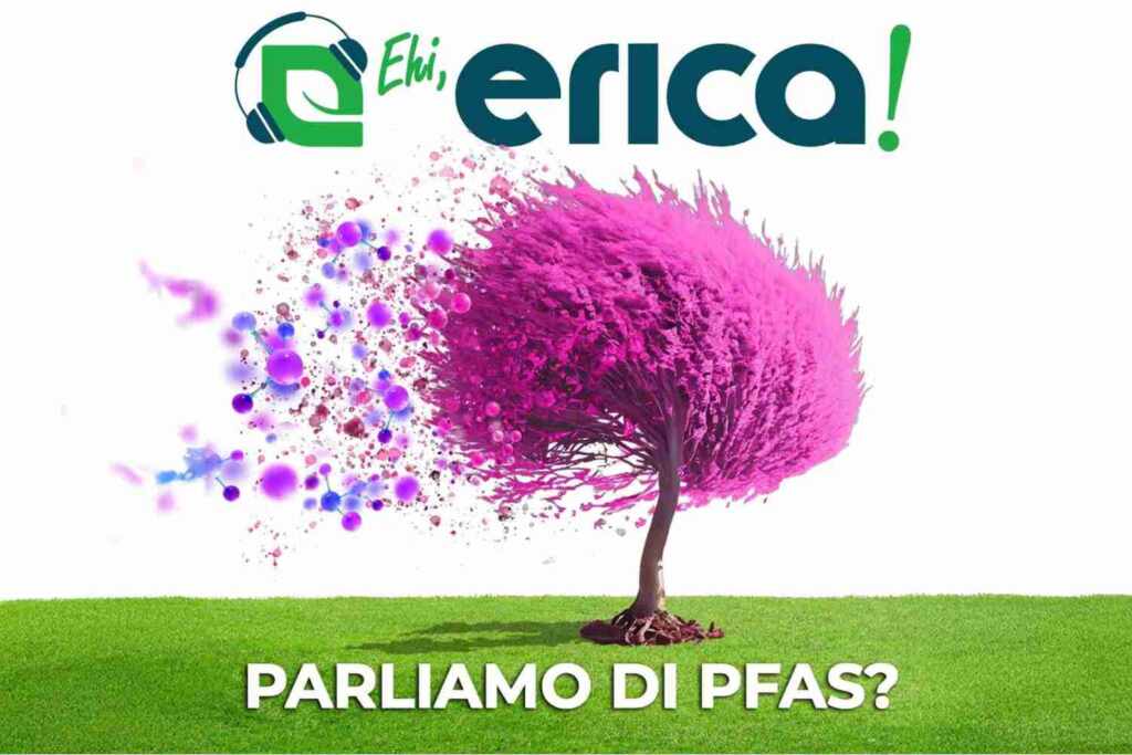 podcast erica pfas