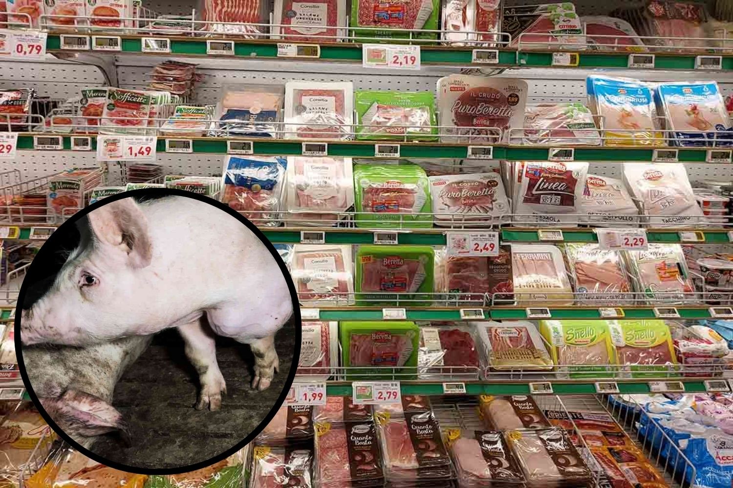 salumi supermercato allevamenti intensivi