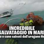 salvataggio mare cane