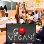 scuola vegan materia