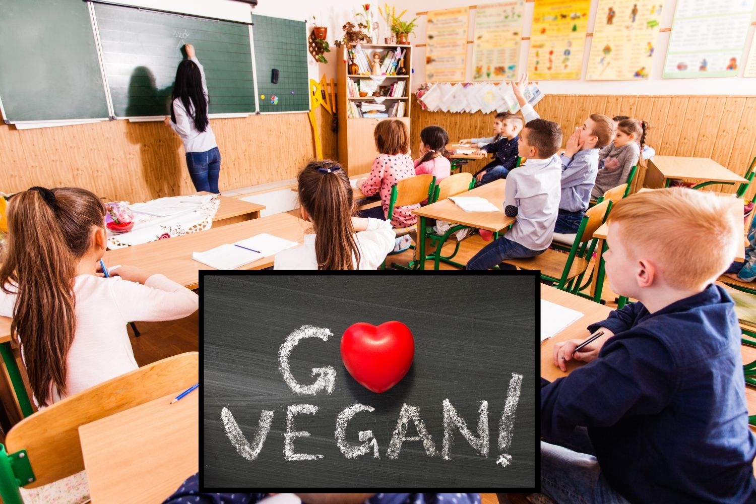 scuola vegan materia