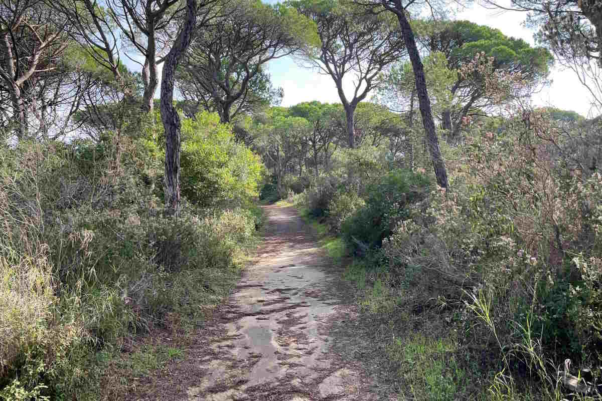 sentiero parco della maremma