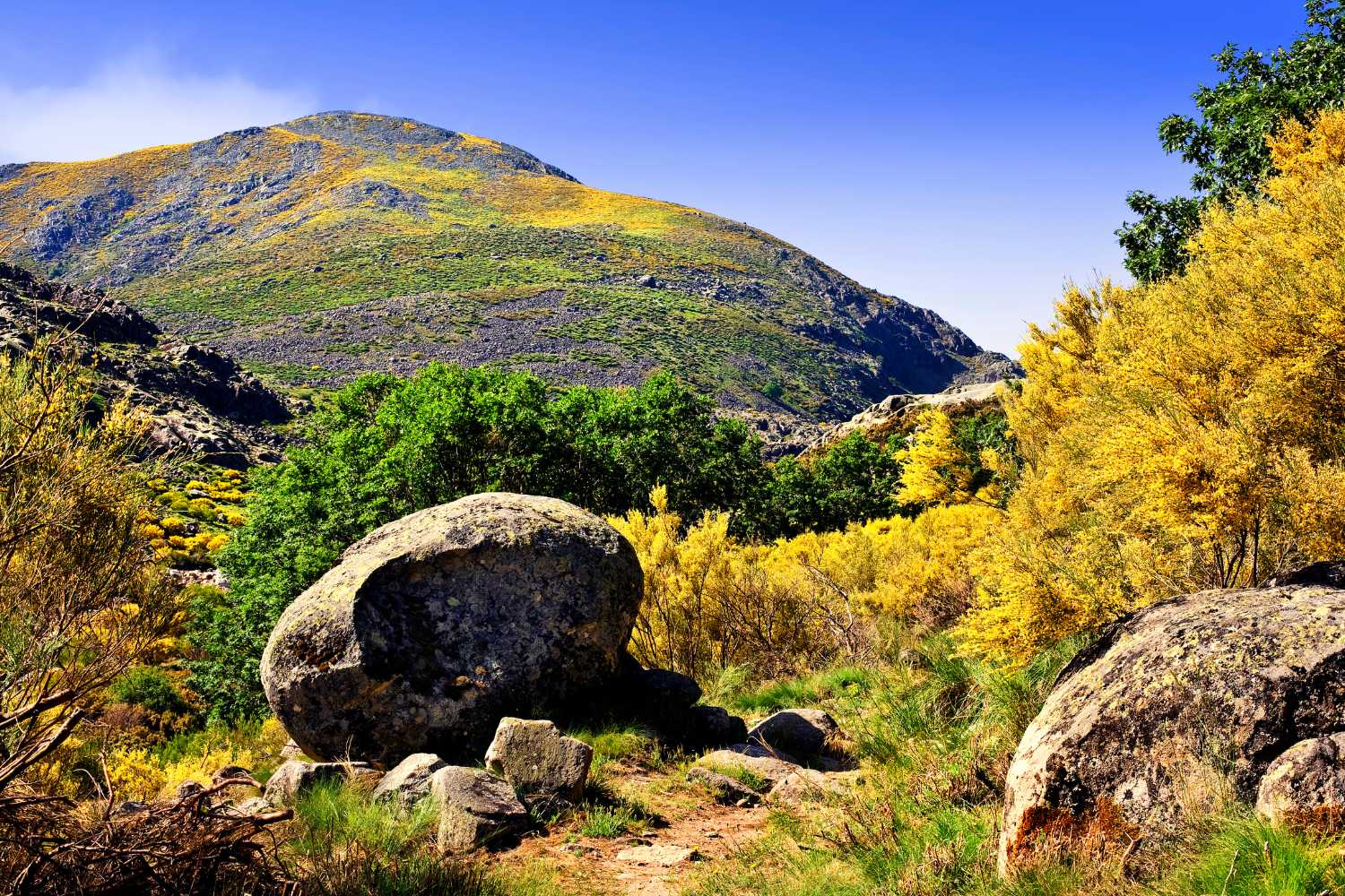 sierra del gredos