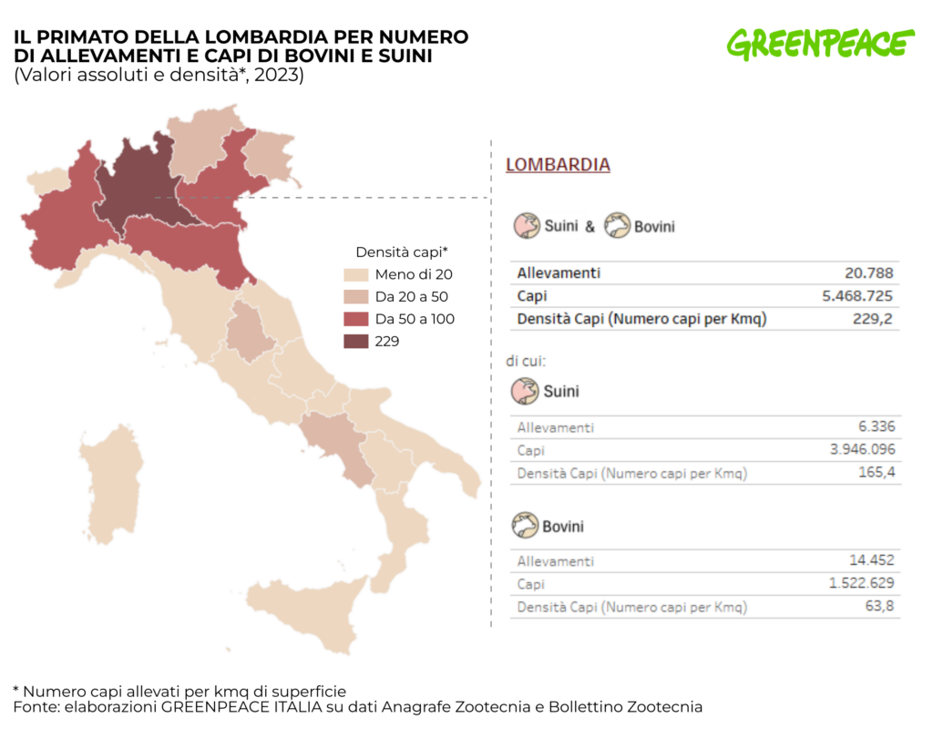 Allevamenti_bovini_suini_Italia