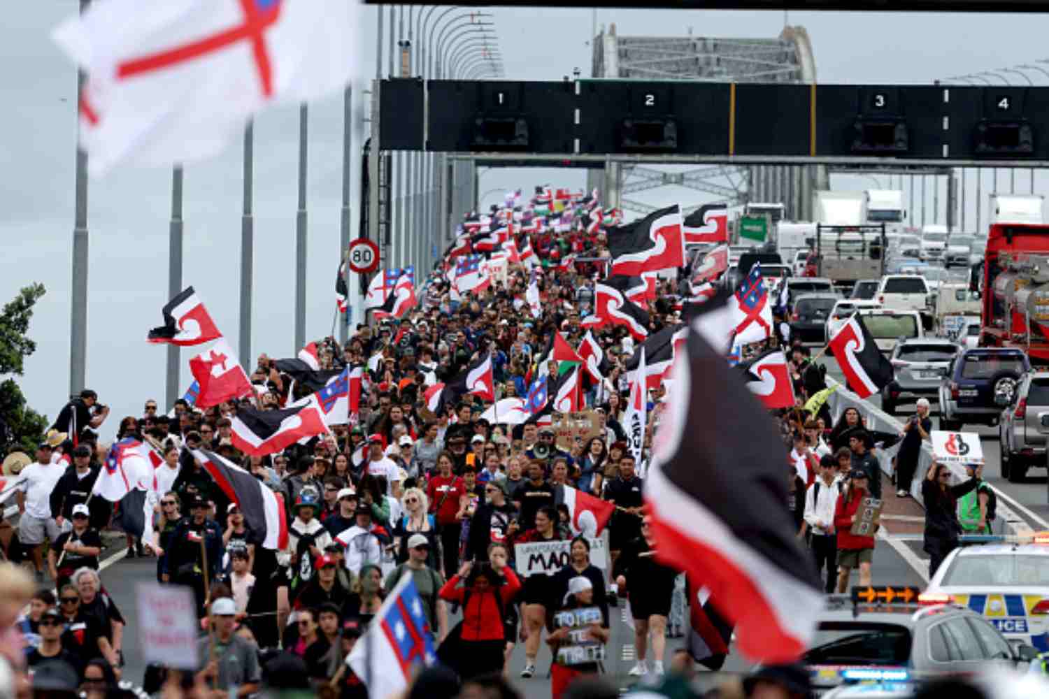 Maori protesta