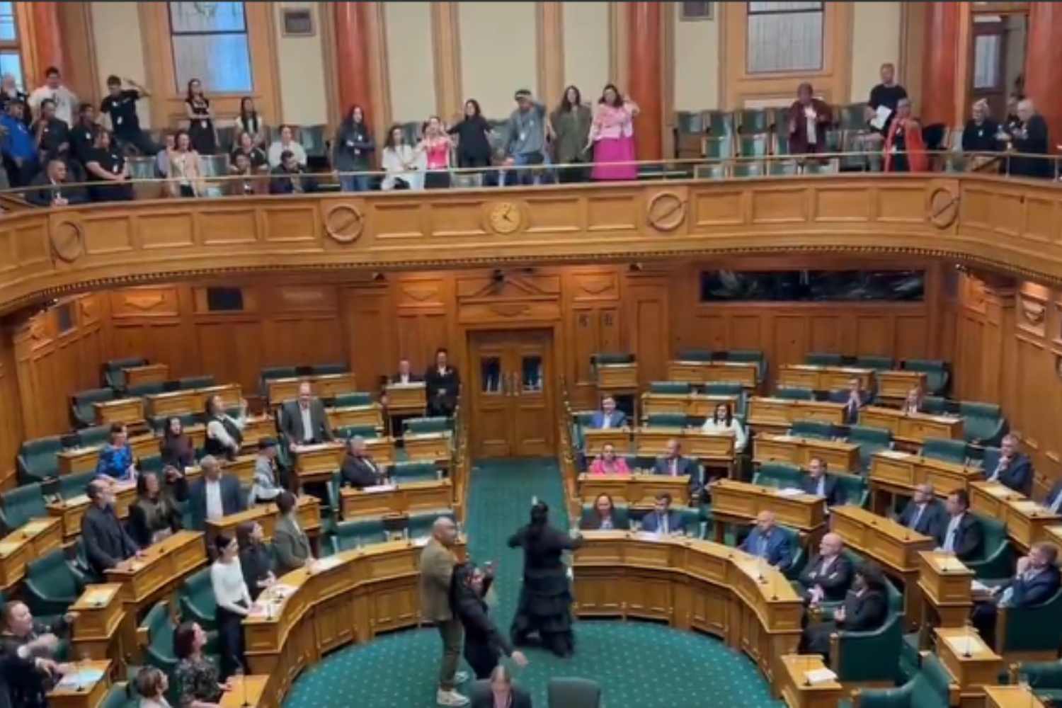 Parlamento Maori