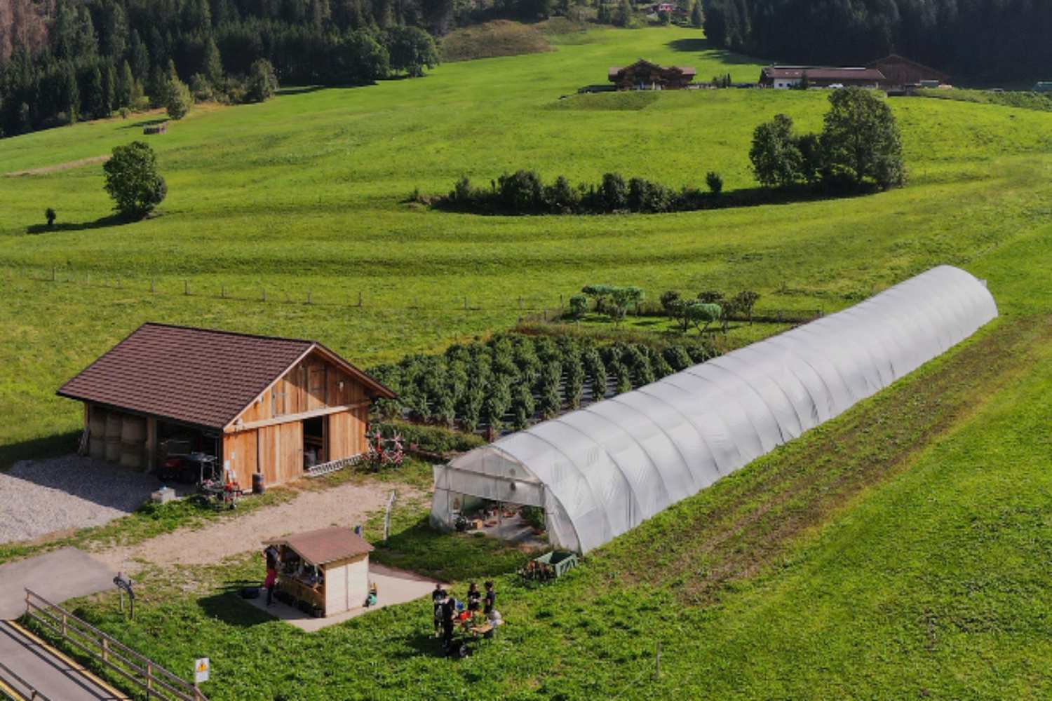 dolomiti bio hemp