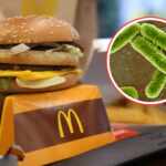 panino mcdonald's escherichia coli