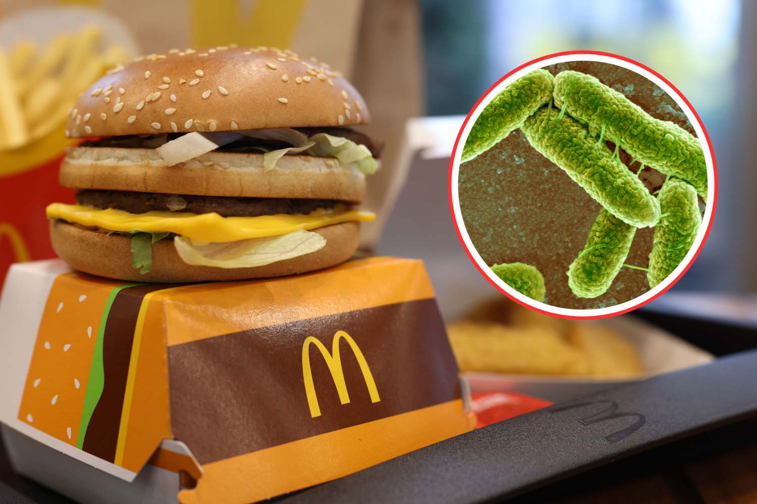 panino mcdonald's escherichia coli